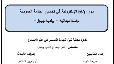 دور الإدارة الإلكترونية في تحسين الخدمة العمومية